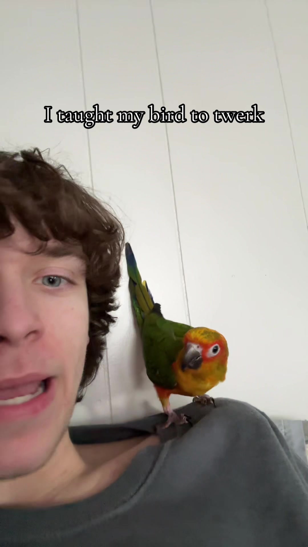@Whiteboiwspraycheese
