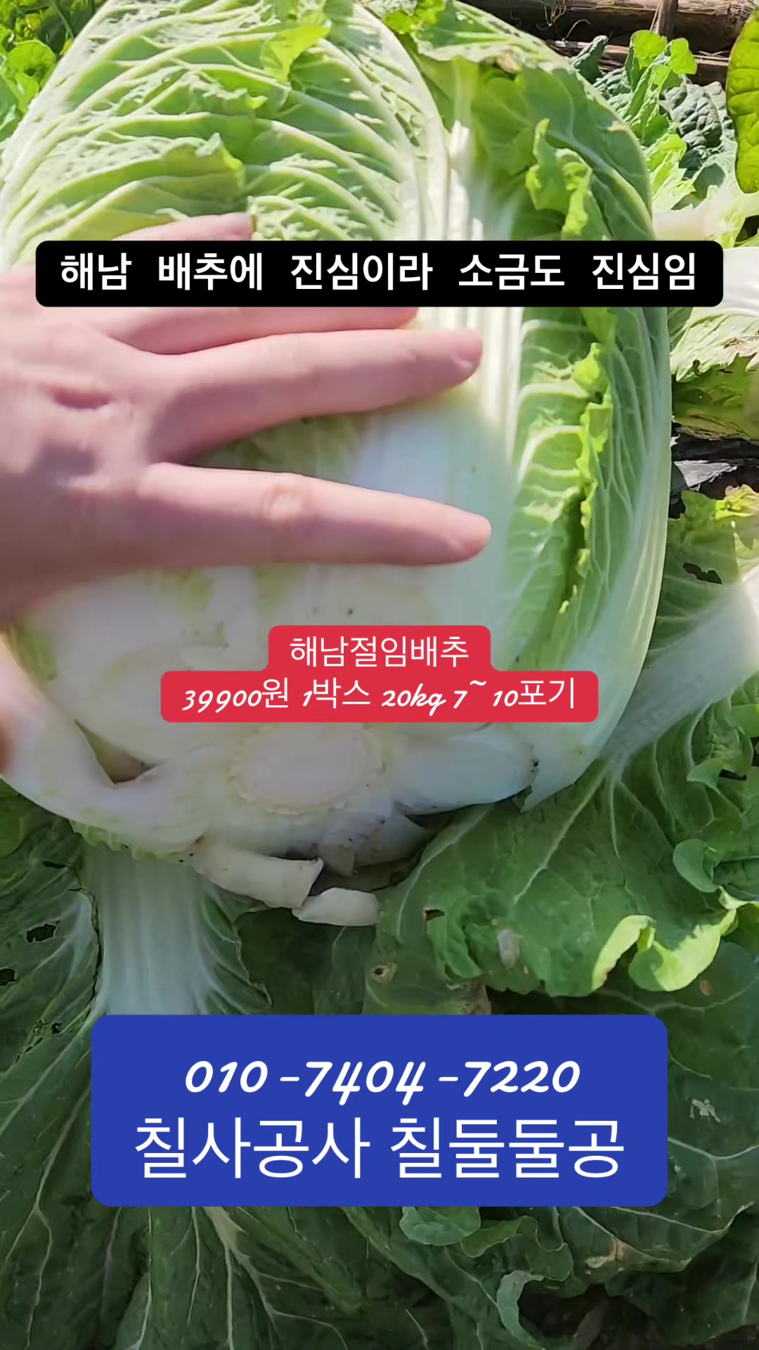 @프루트빌리지