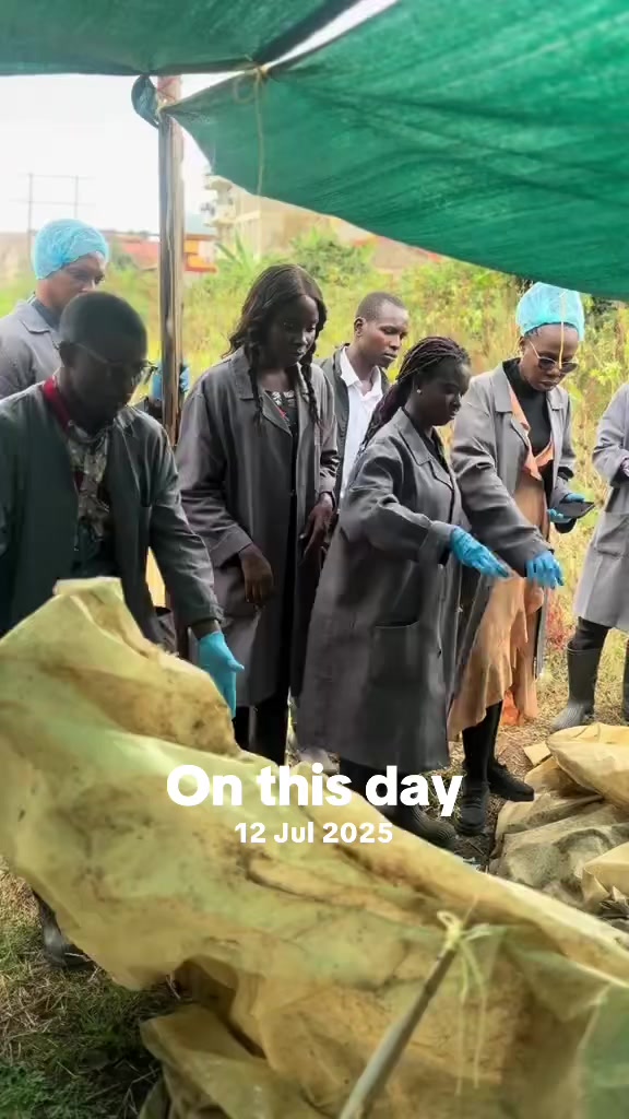 @Food for All Africa