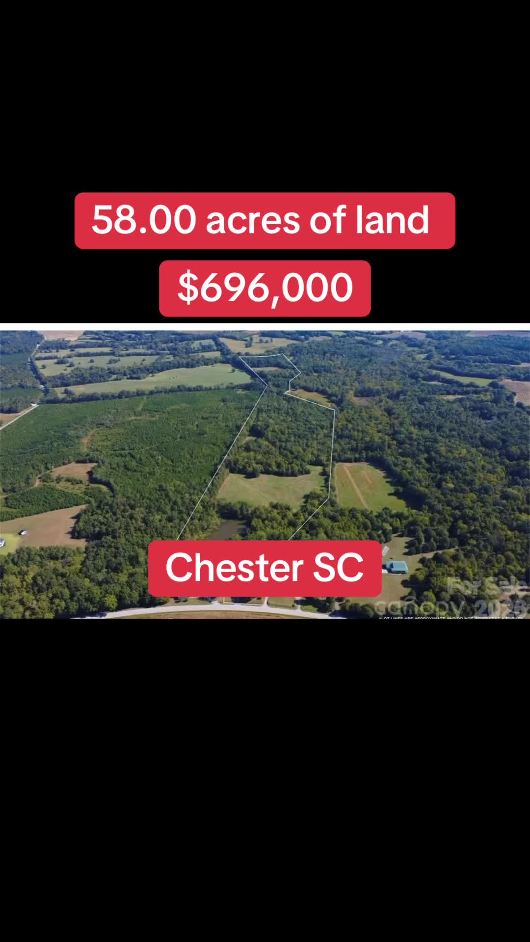 @🥇 Haydee Trejo | NC Realtor