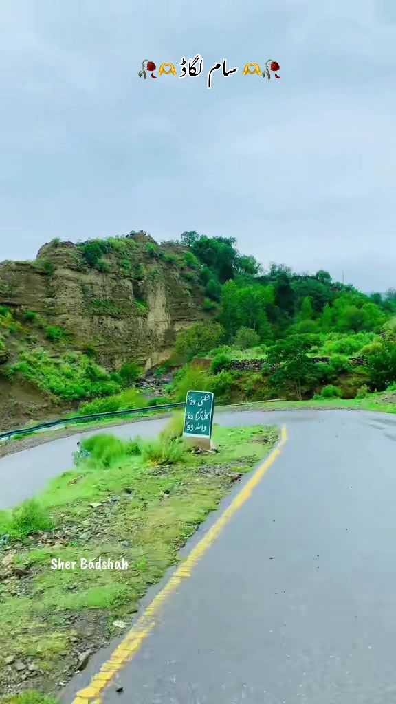 @𝐒𝐡𝐞𝐫 𝐁𝐚𝐝𝐬𝐡𝐚𝐡 🌿