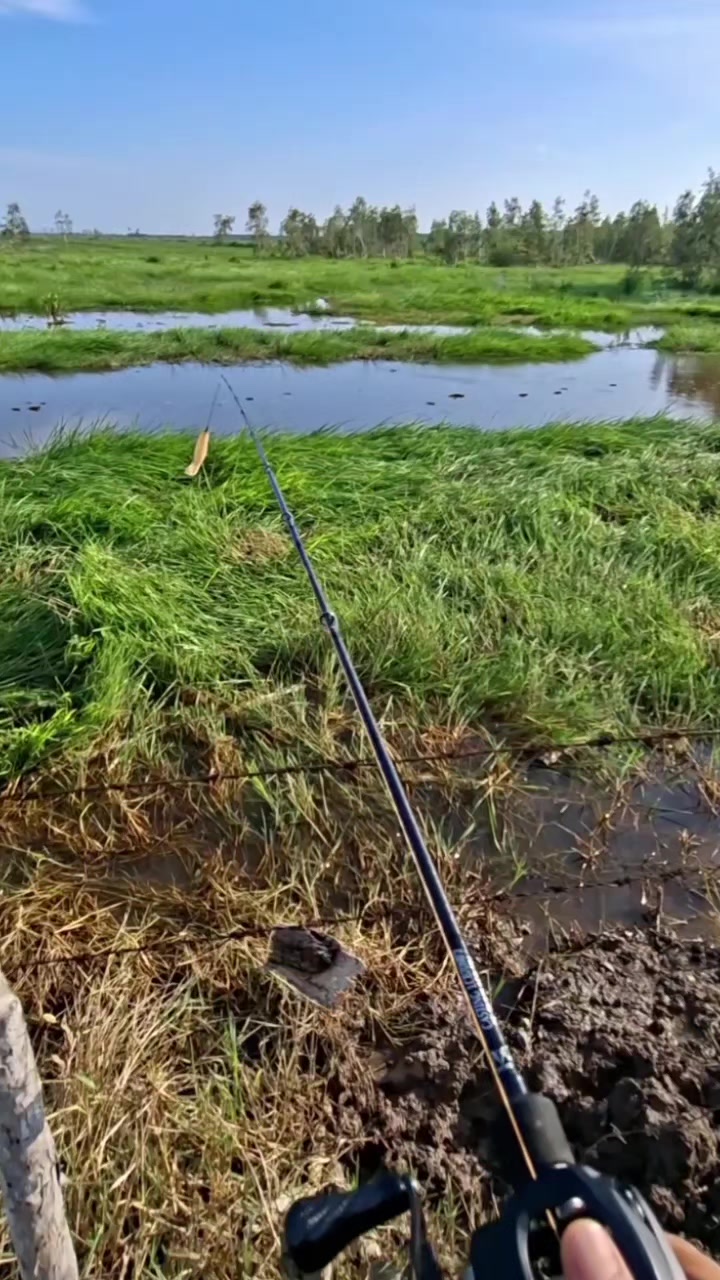 @TungFishing