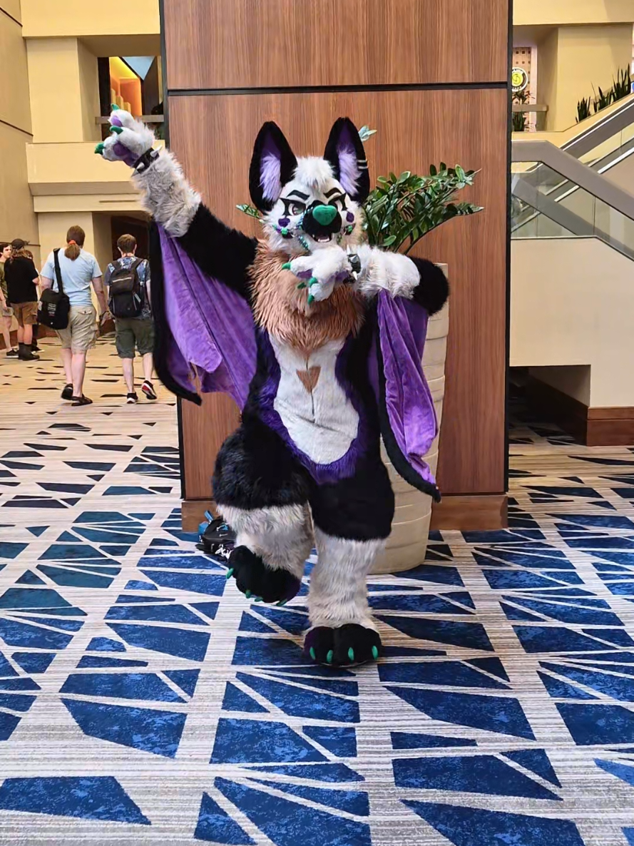 @CC the Corgi ๐ญ