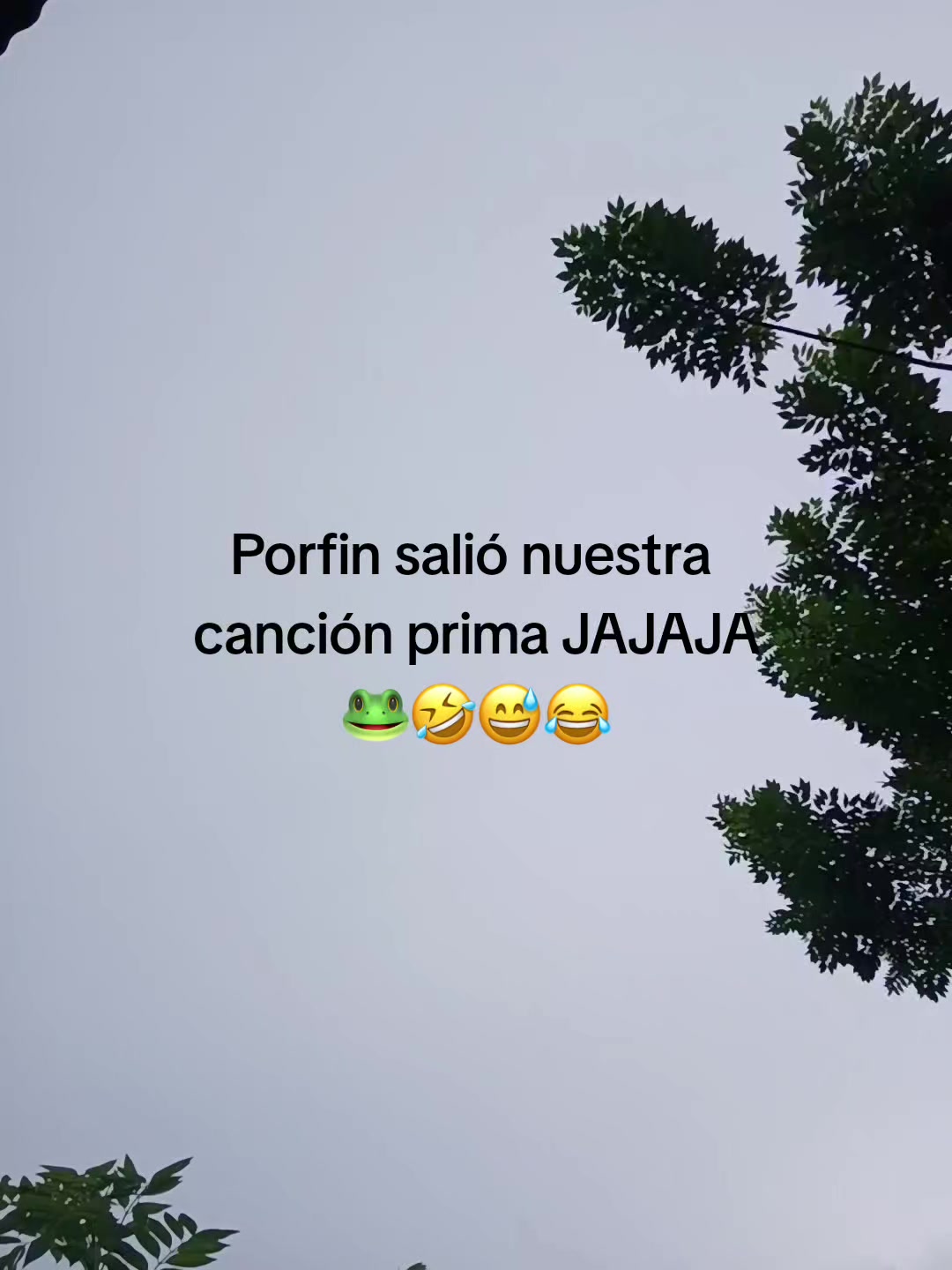 @𝒜𝓃𝓉ℴ𝓃𝓎🧃😻