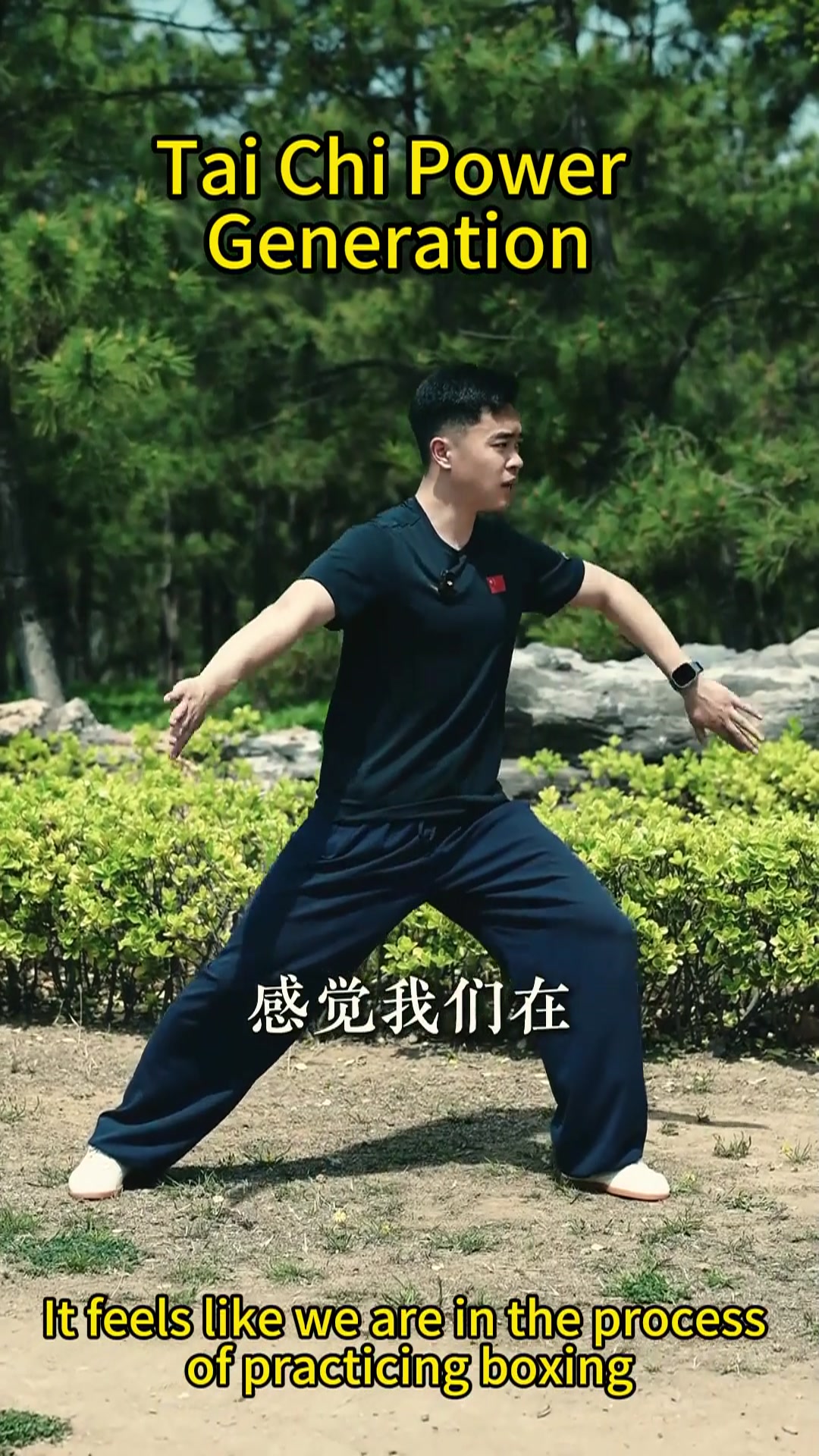 @taichituan