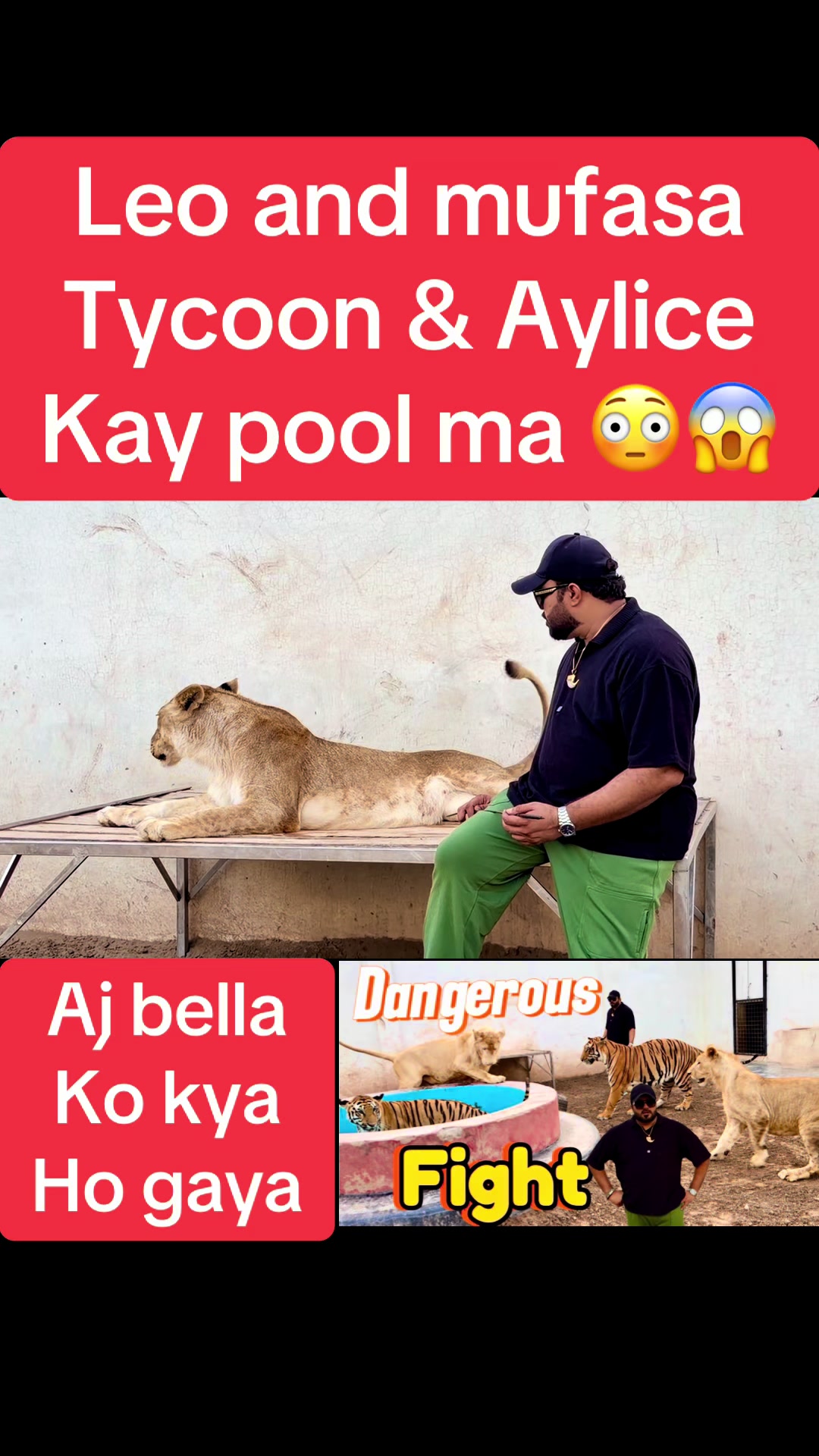 @Mian saqib