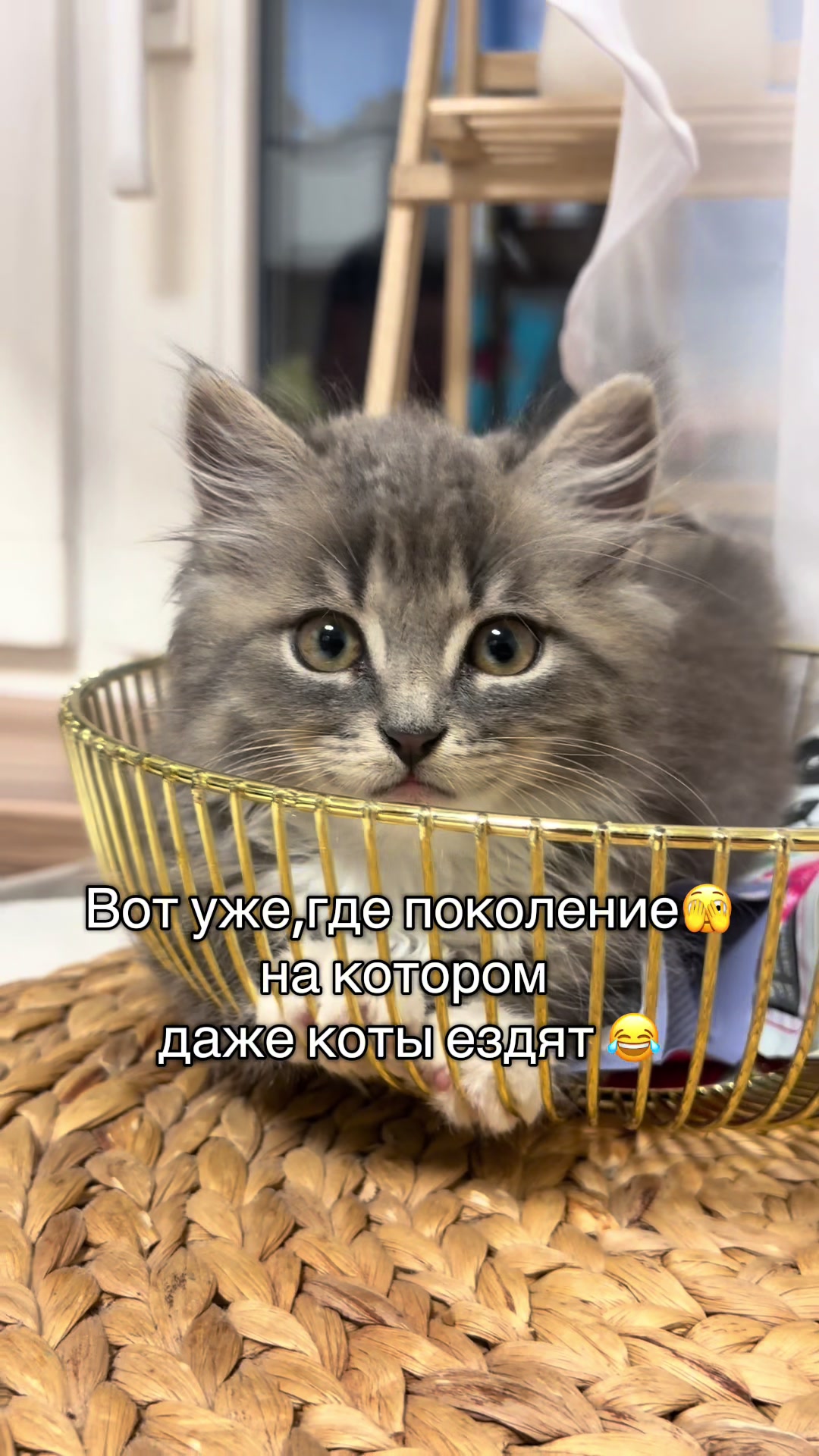 @Марина Руденок
