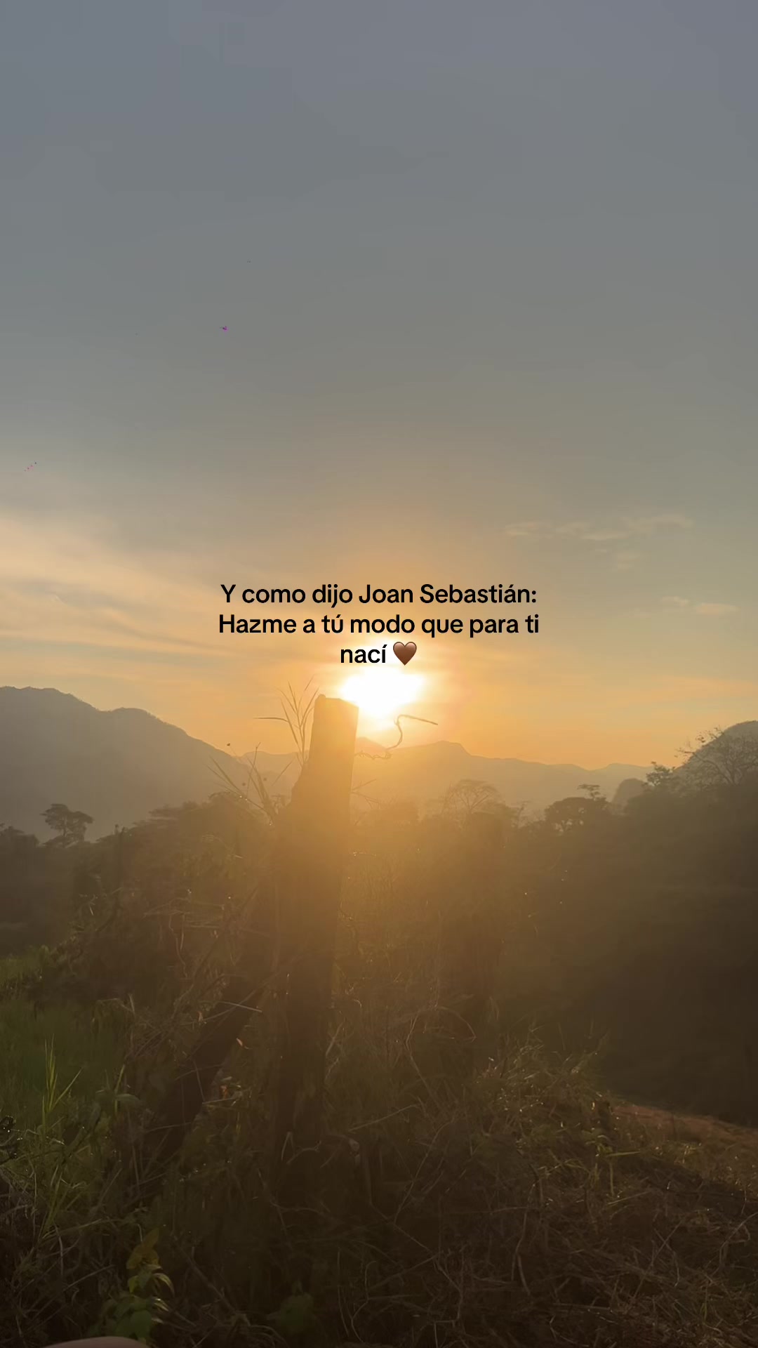 @Y ü r ë m 🕸️