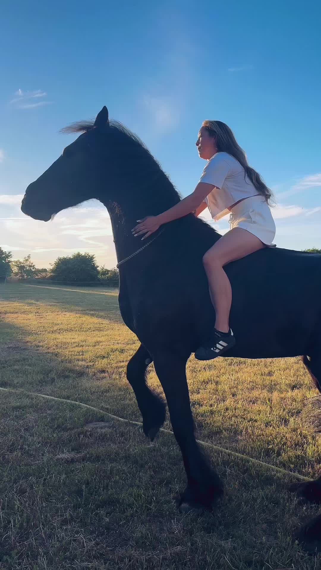 @Horses