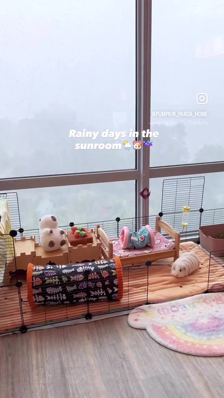 @pumpkin_panda_home