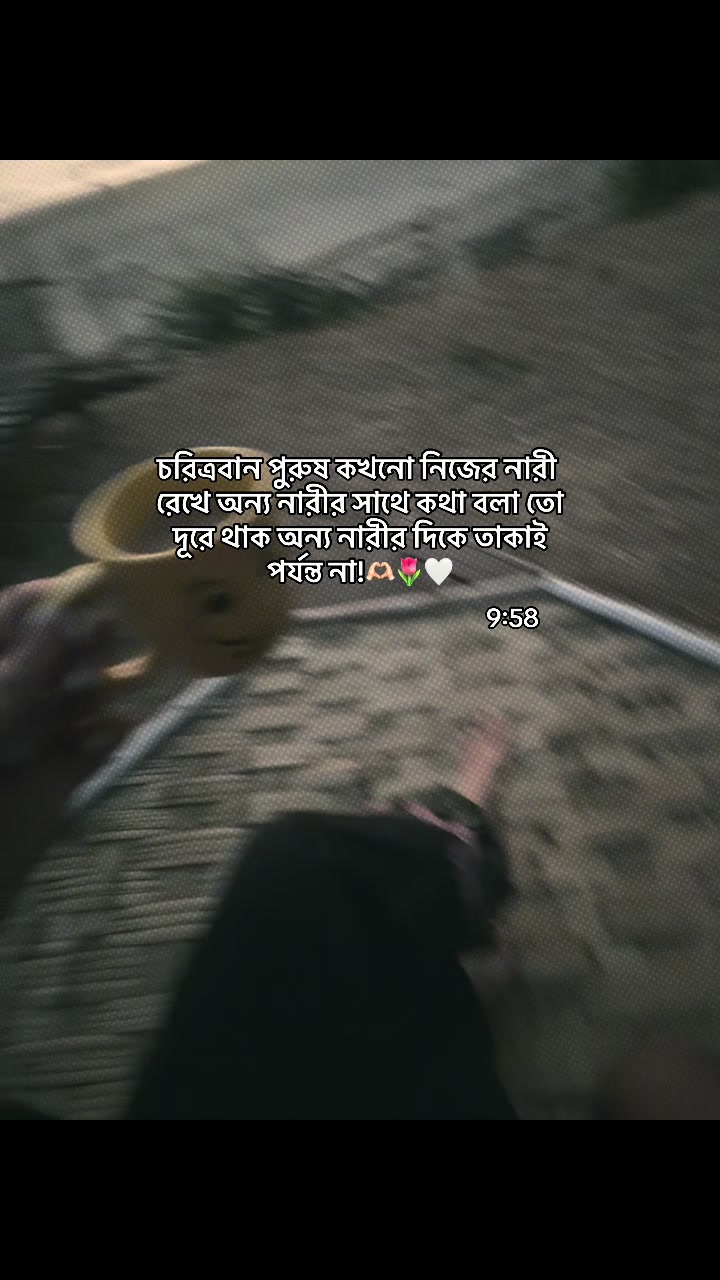 @Safa