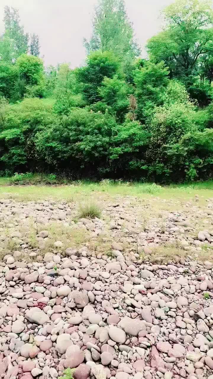 @ZahidJuTT