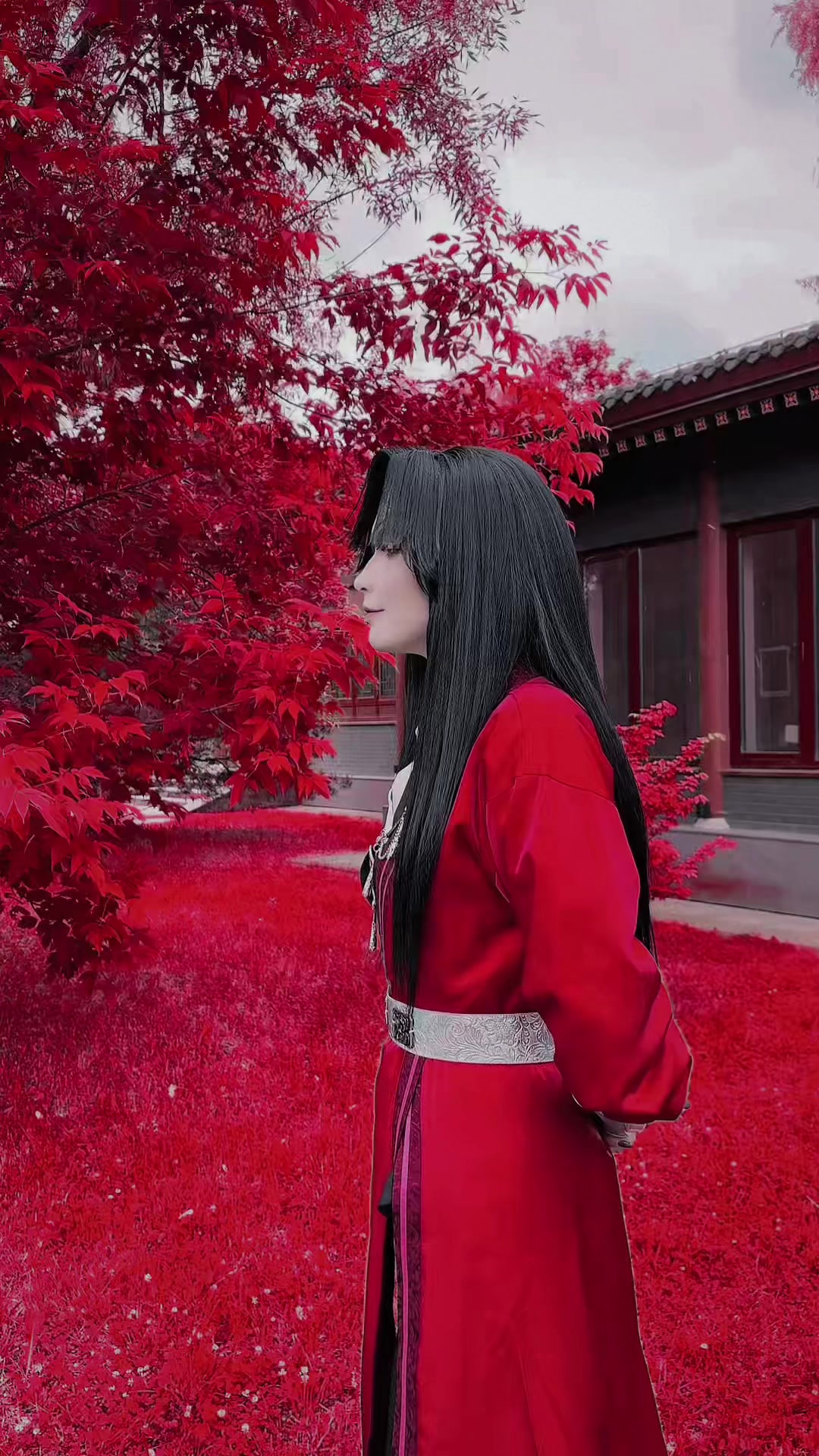 @yangilts