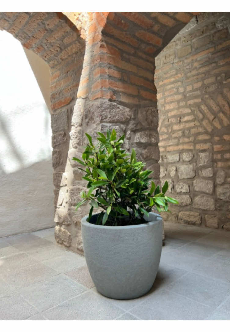 @Macetare Garden Shop Ecuador