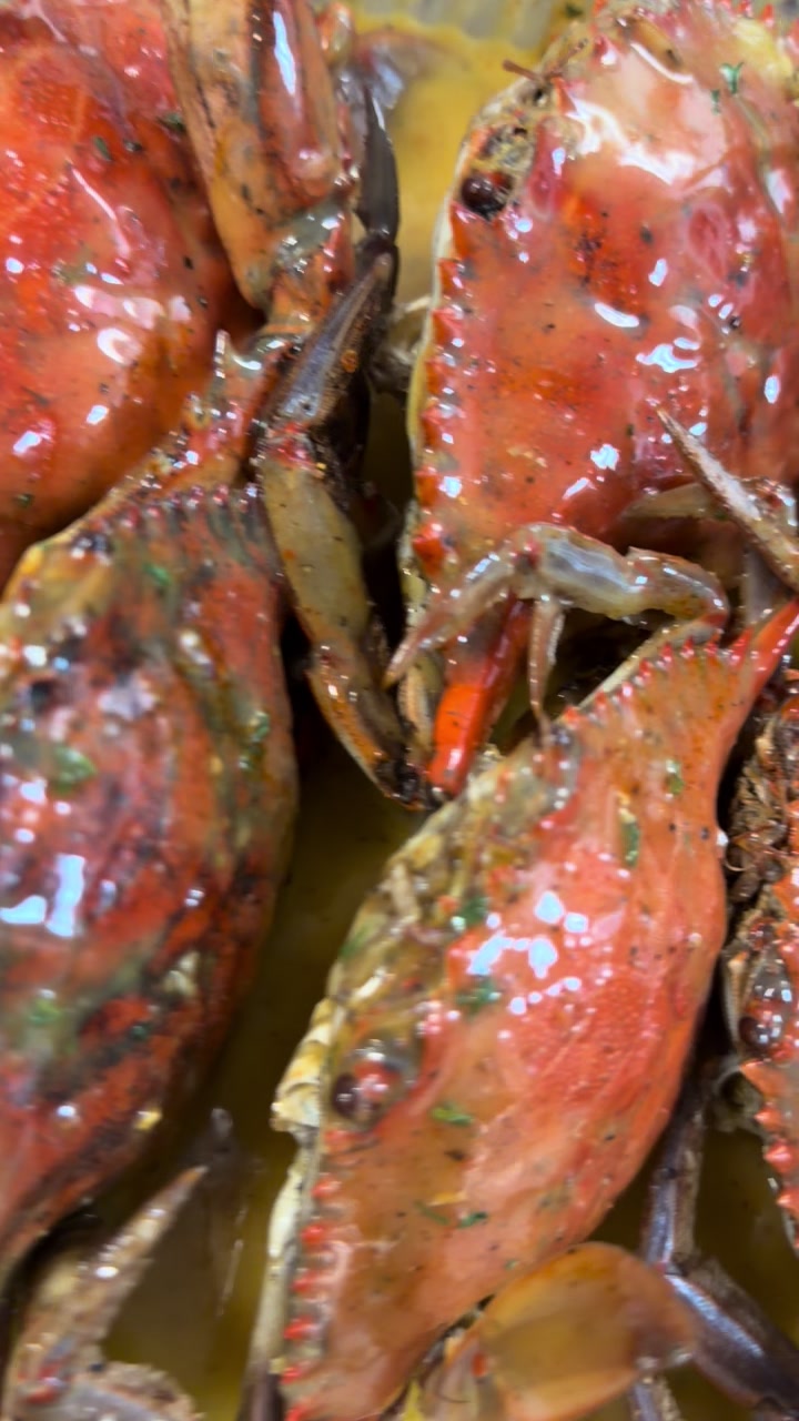 @seafoodconnectionexpress