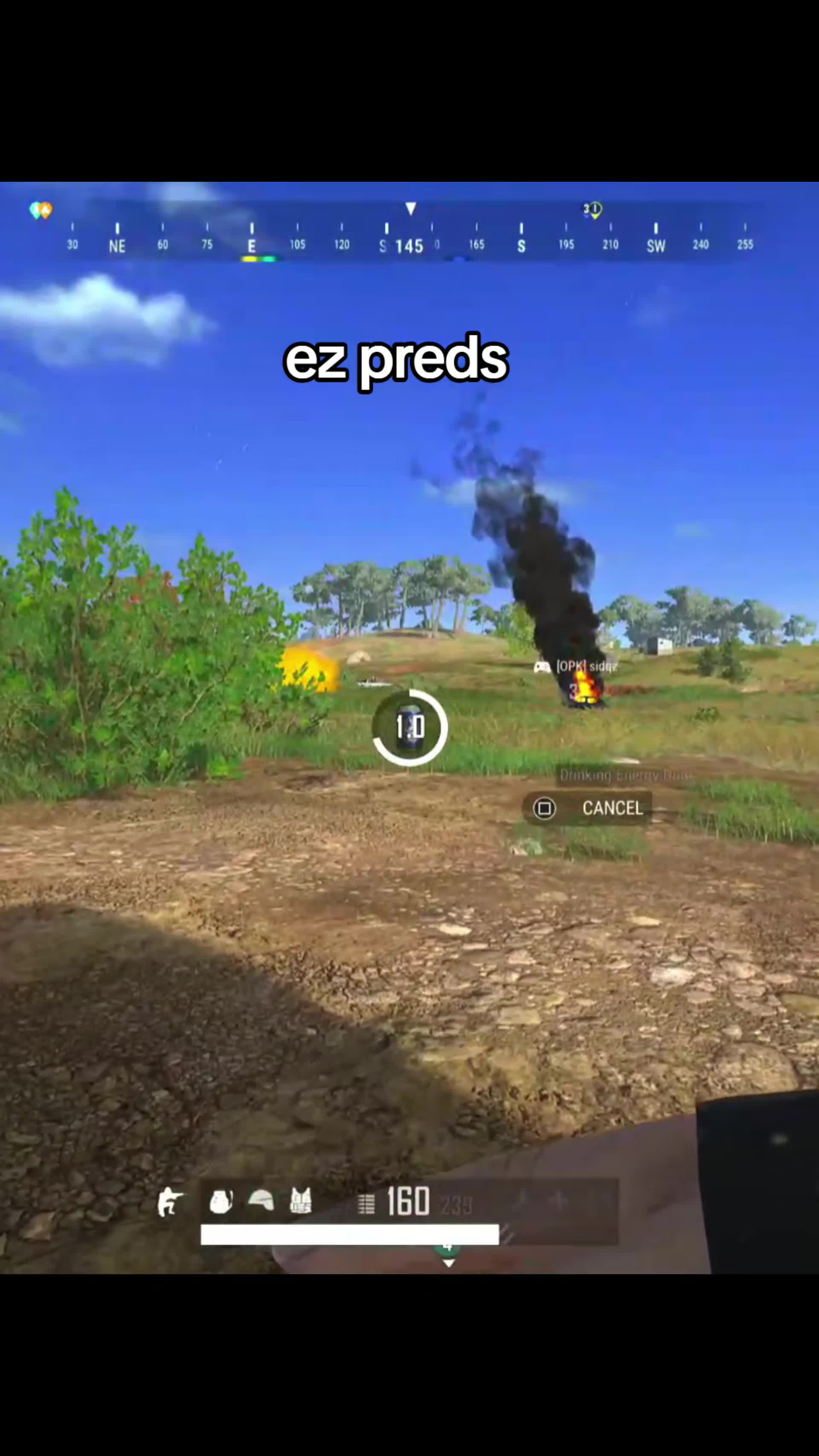 @copperhead350 pubg