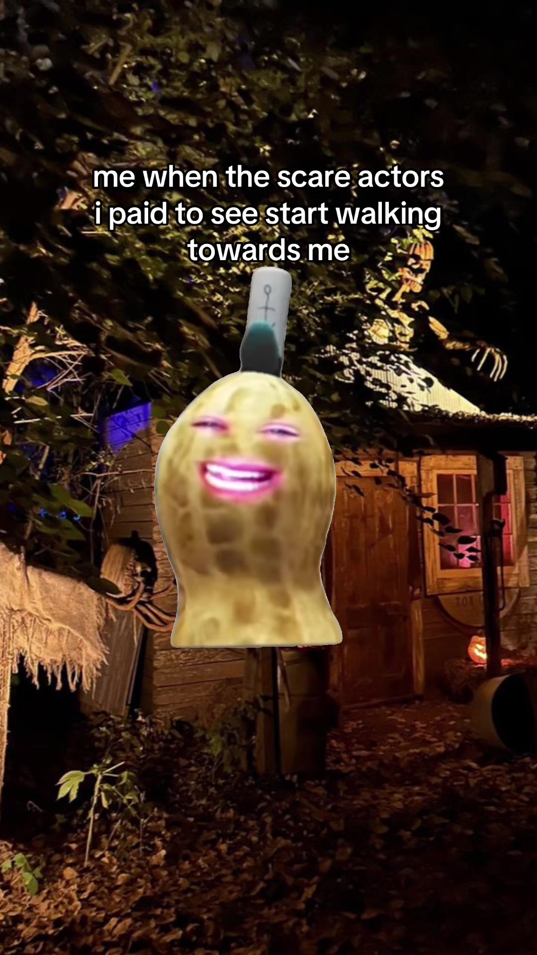 @lina ☀️🤍🌻🦈🍉🪆🌱🪿