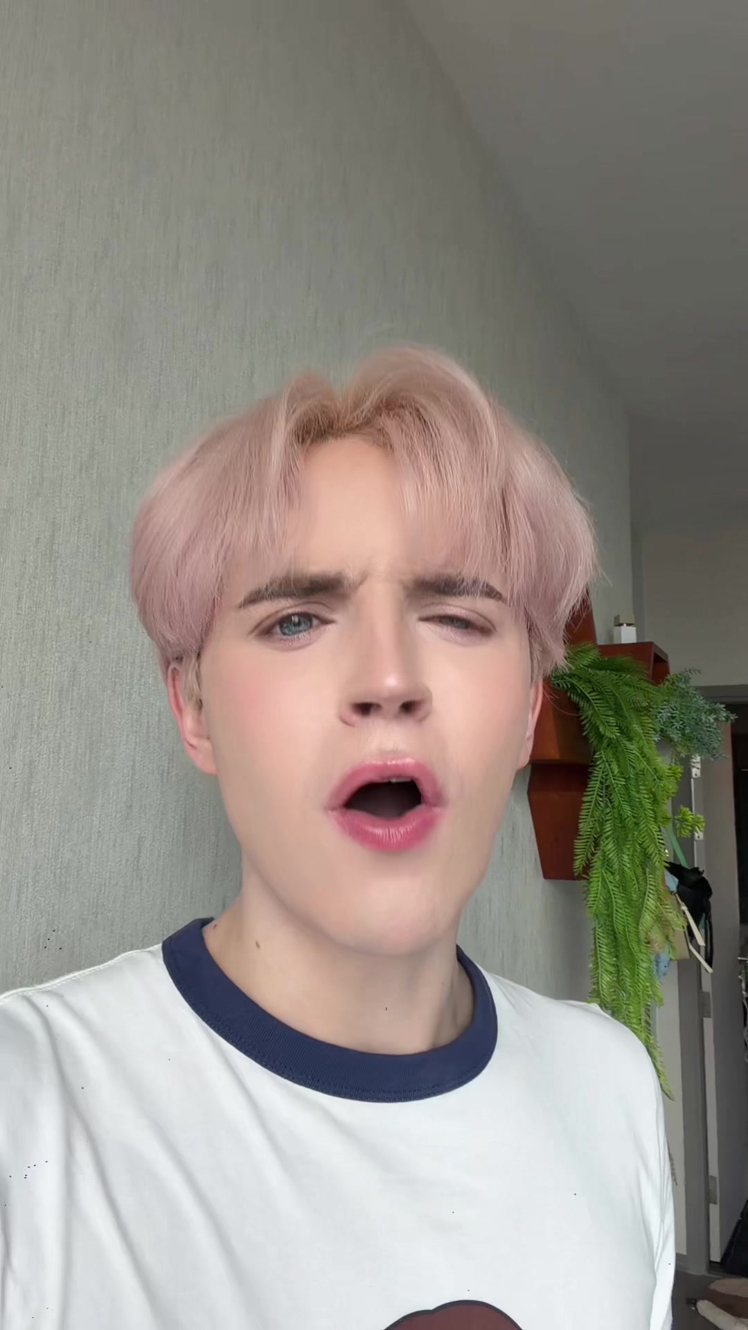 @Tyler泰樂