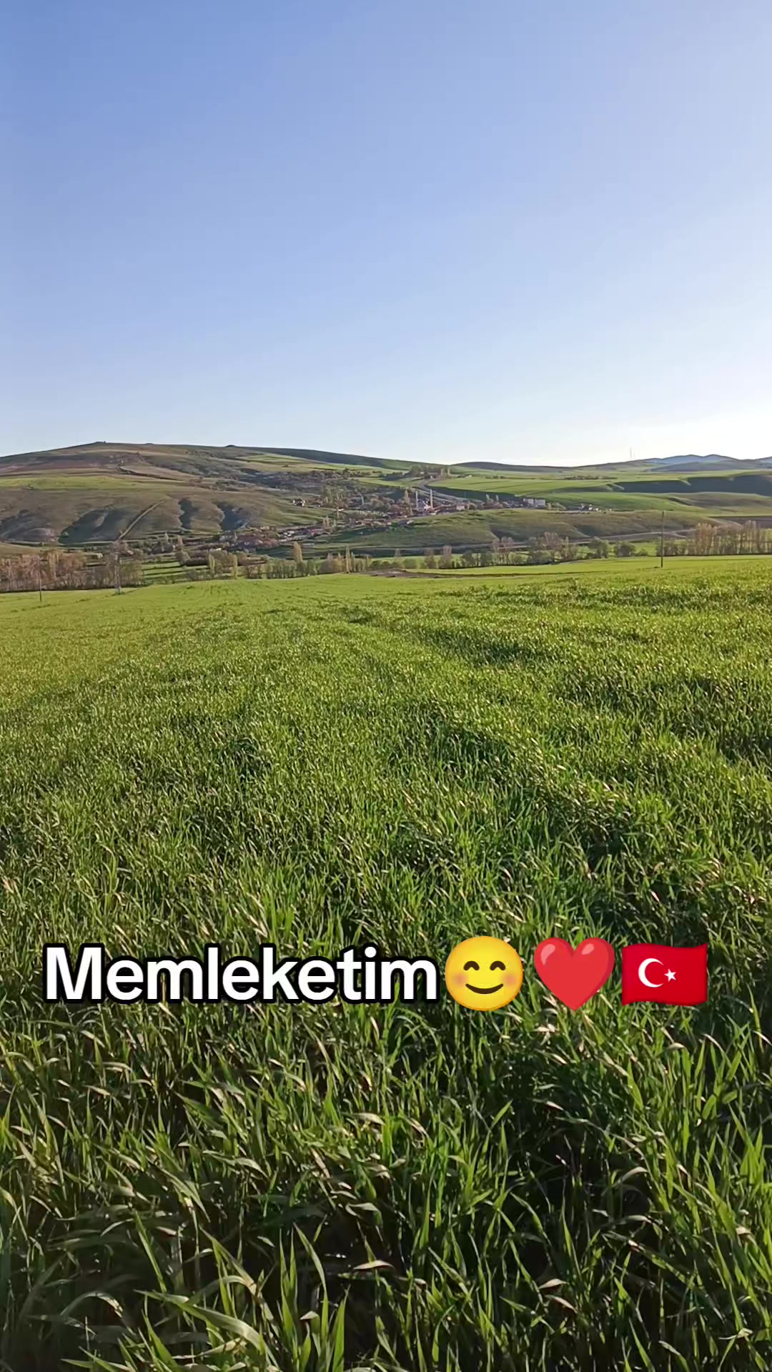@yılmaz &Ccedil;etinkaya