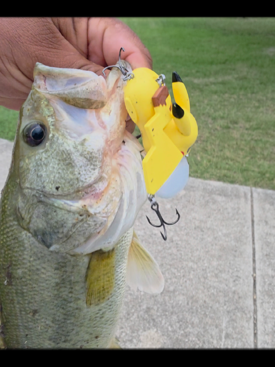 @FishingwithJairo