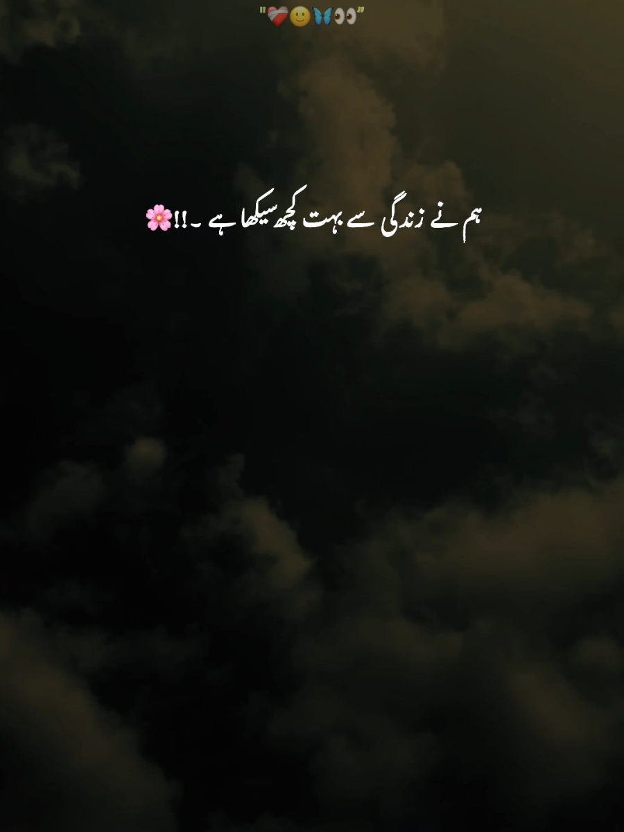 @-🕊️