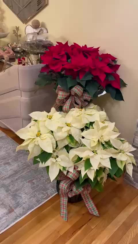 @Salam Aad