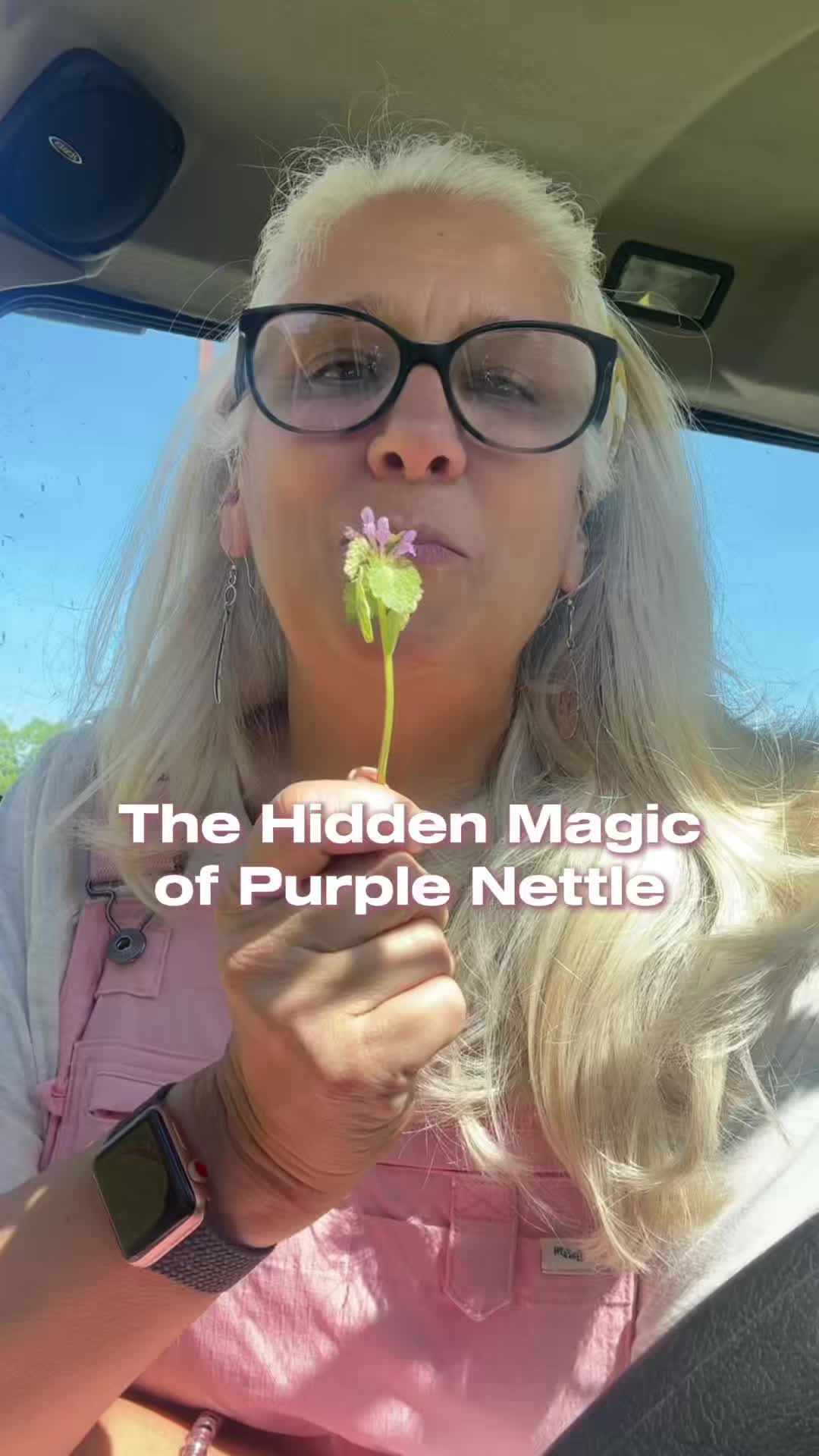 @Sweet BombDiggity Farms