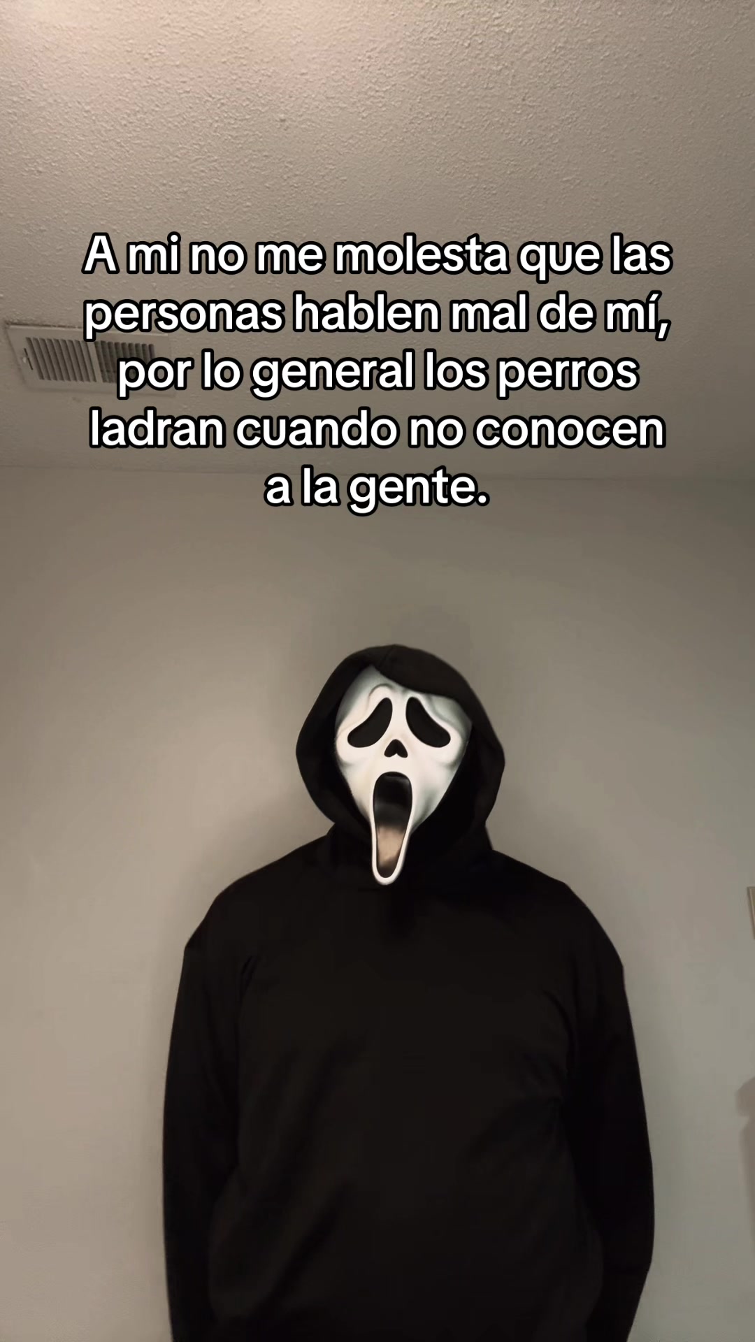 @soyluis.33