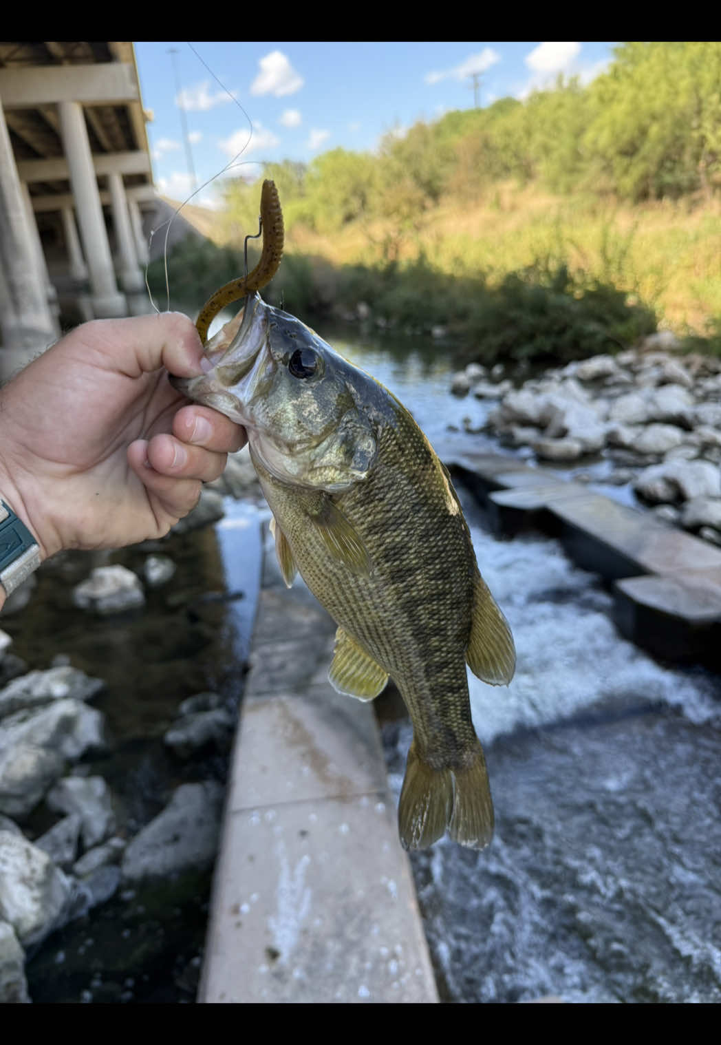 @drewmayfieldfishing