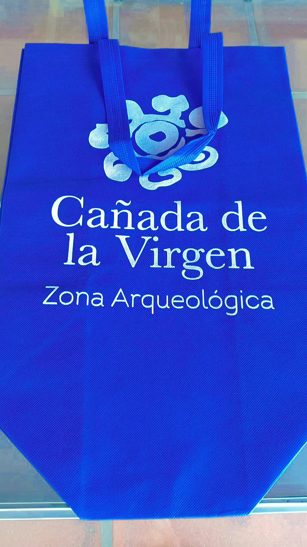 @VictoursGuanajuato