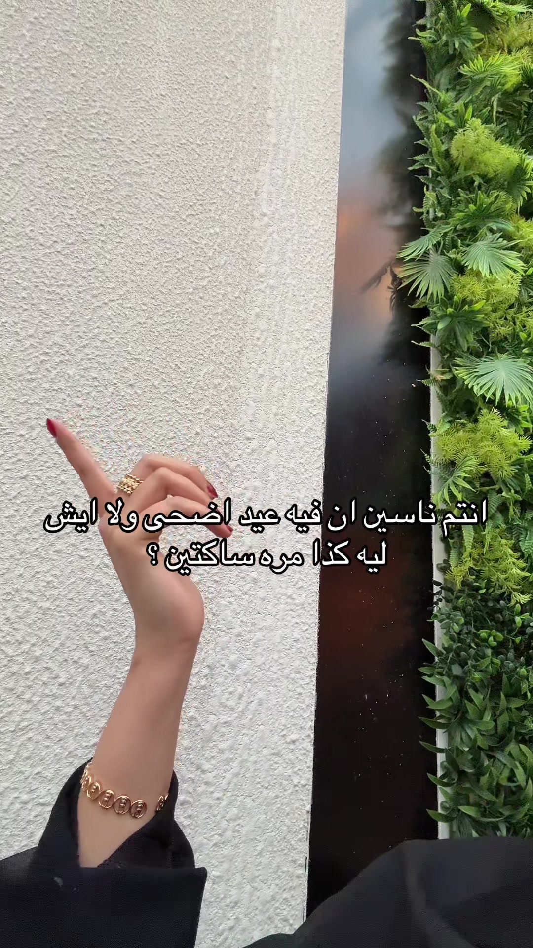 @نوره الهلالي