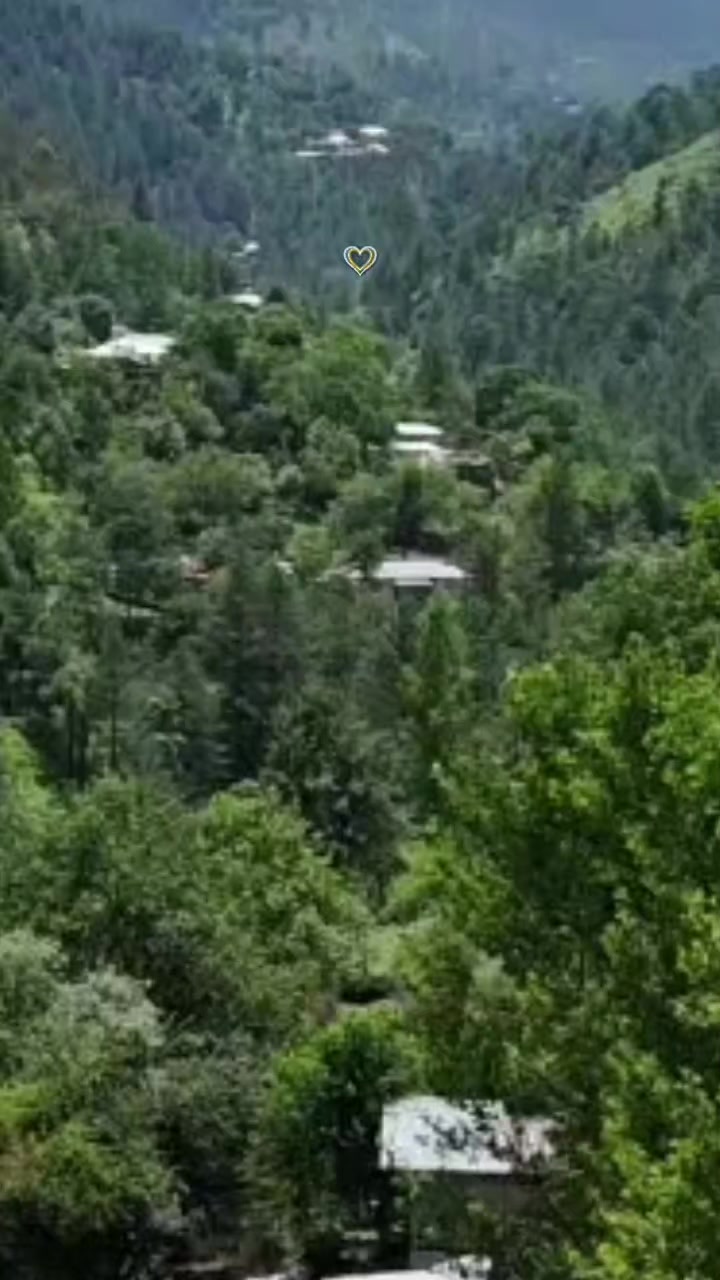 @Kashmir_Dream_land