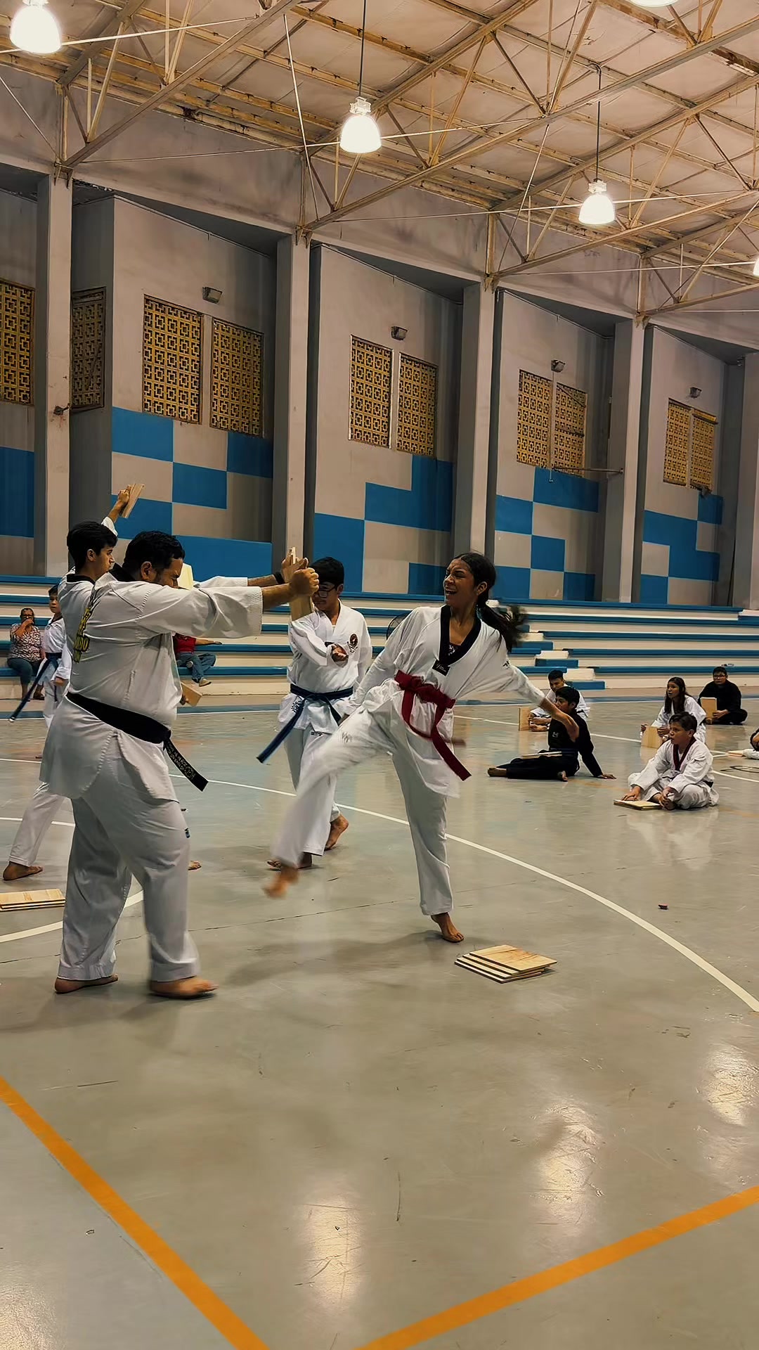 @taekwondolionsteam