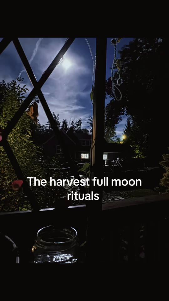 @The🧿OG🖤TikTok🖤Witch