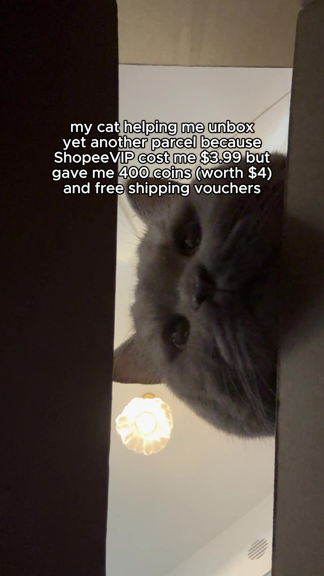 @Shopee Singapore