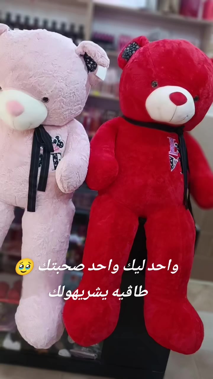 @Dream Box💗