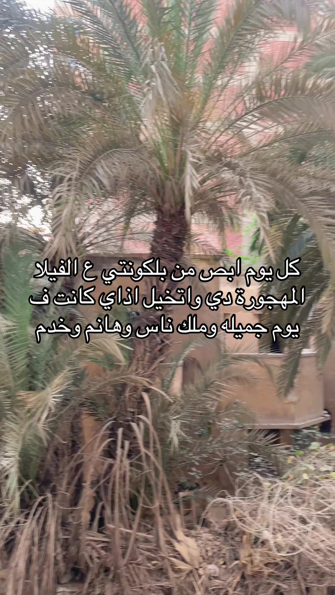 @آيه~