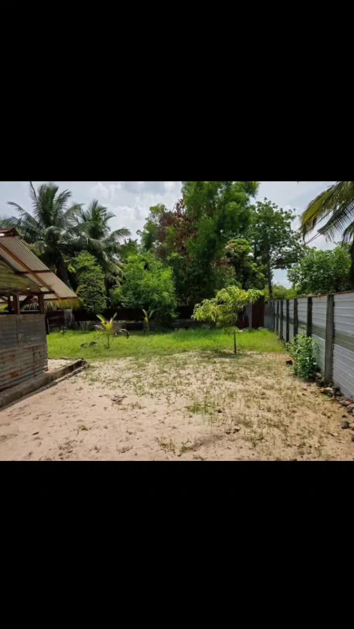 @Kattankudy.lk