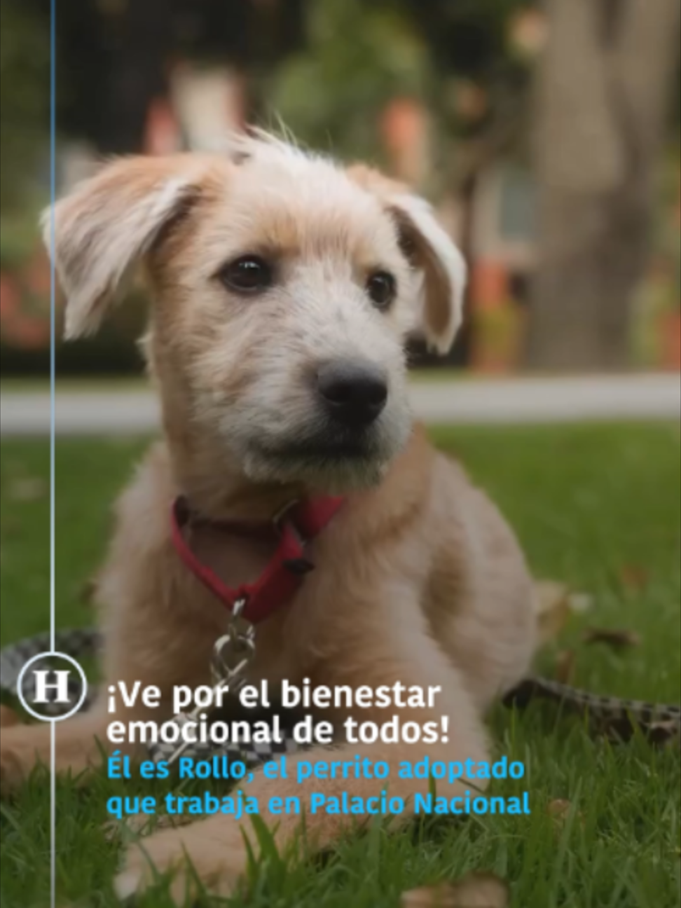 @elheraldodemexico