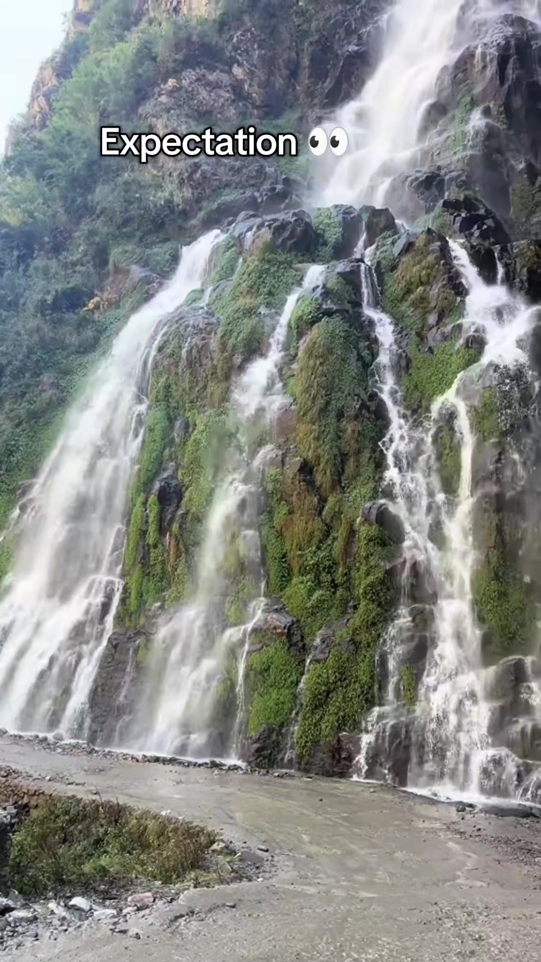 @阳让🇳🇵