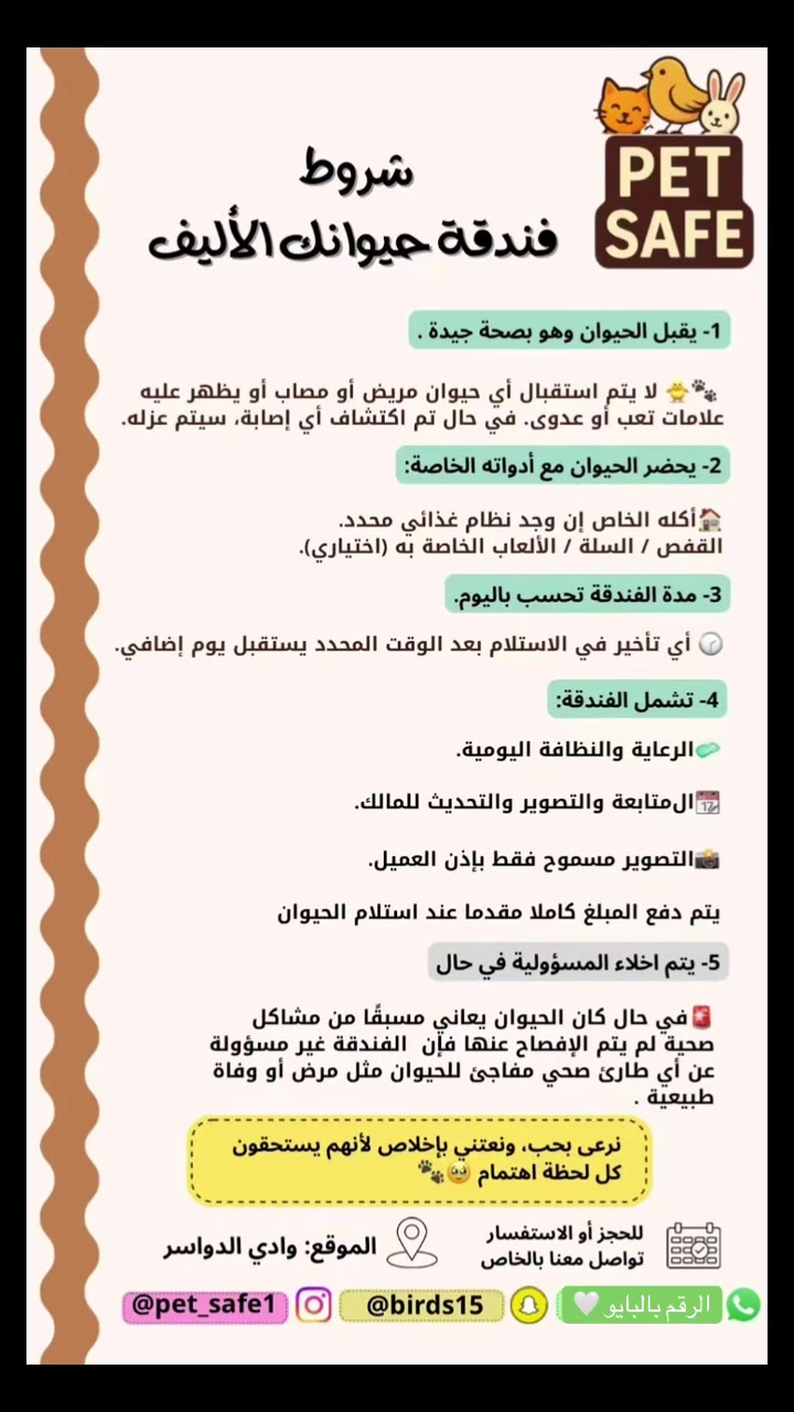 @فندقة وادي الدواسر | طيور وقطط