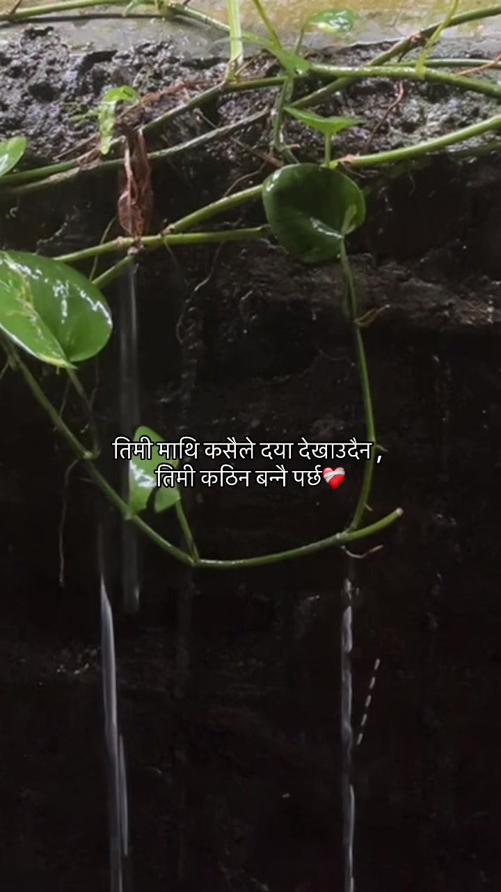 @🌷