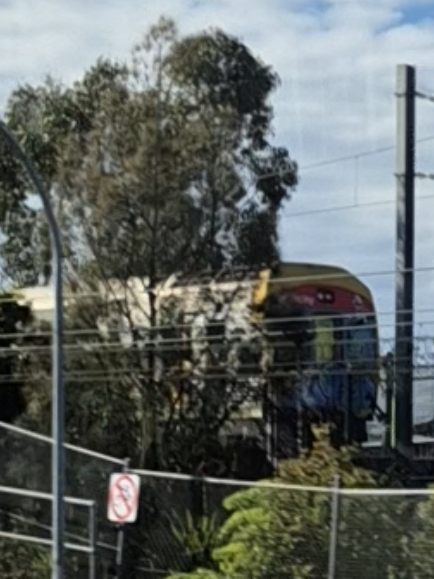@(Sen)SCF560