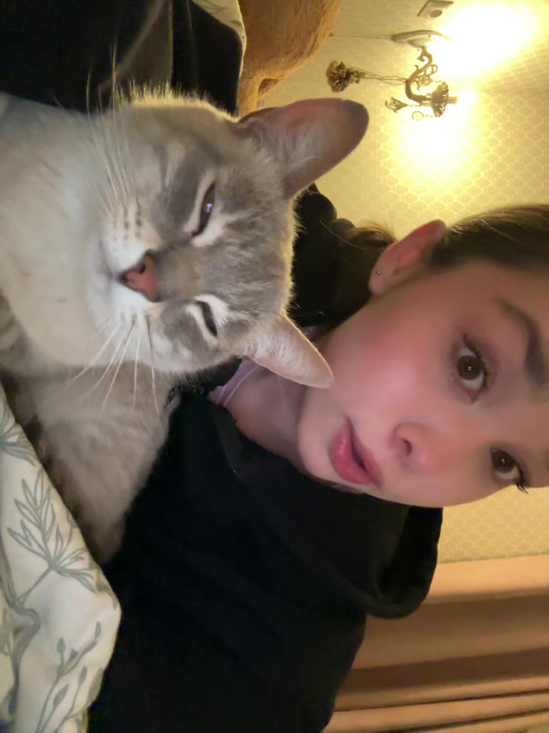 @лиззка🩷🧸@