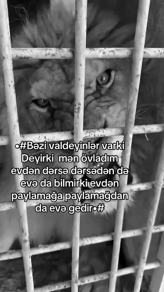 @★彡 VİNİSDON 彡★