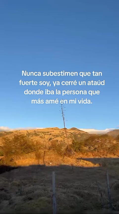 @🌻⚡♌