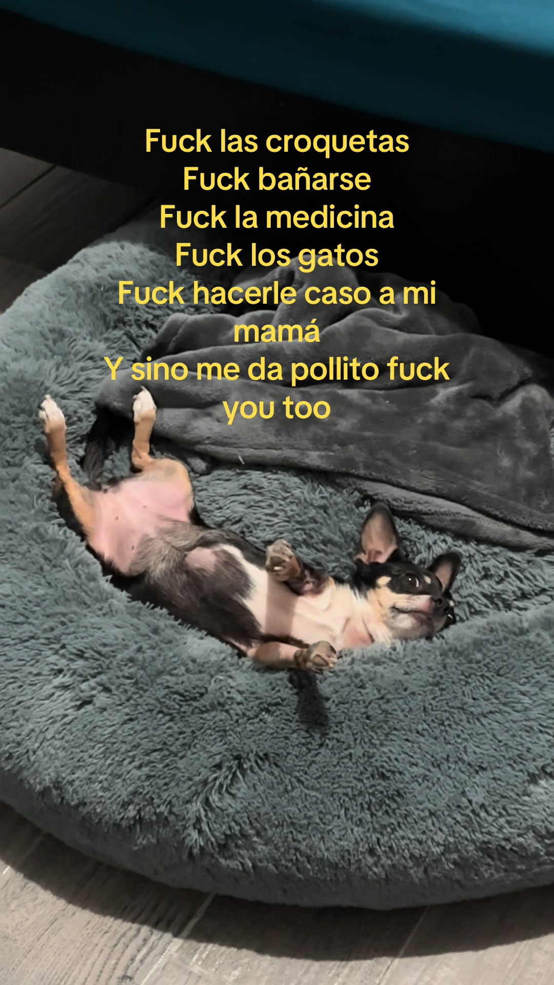 @Cris🤍