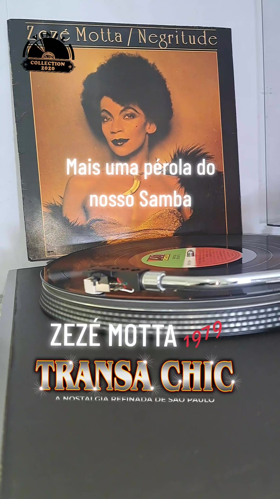 @TRANSACHIC NOSTALGIA BLACK