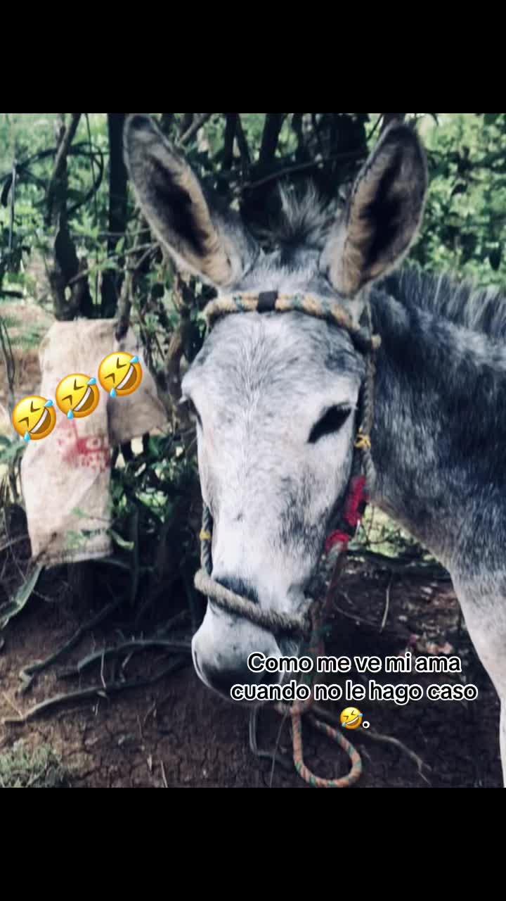 @แฅซแญก.