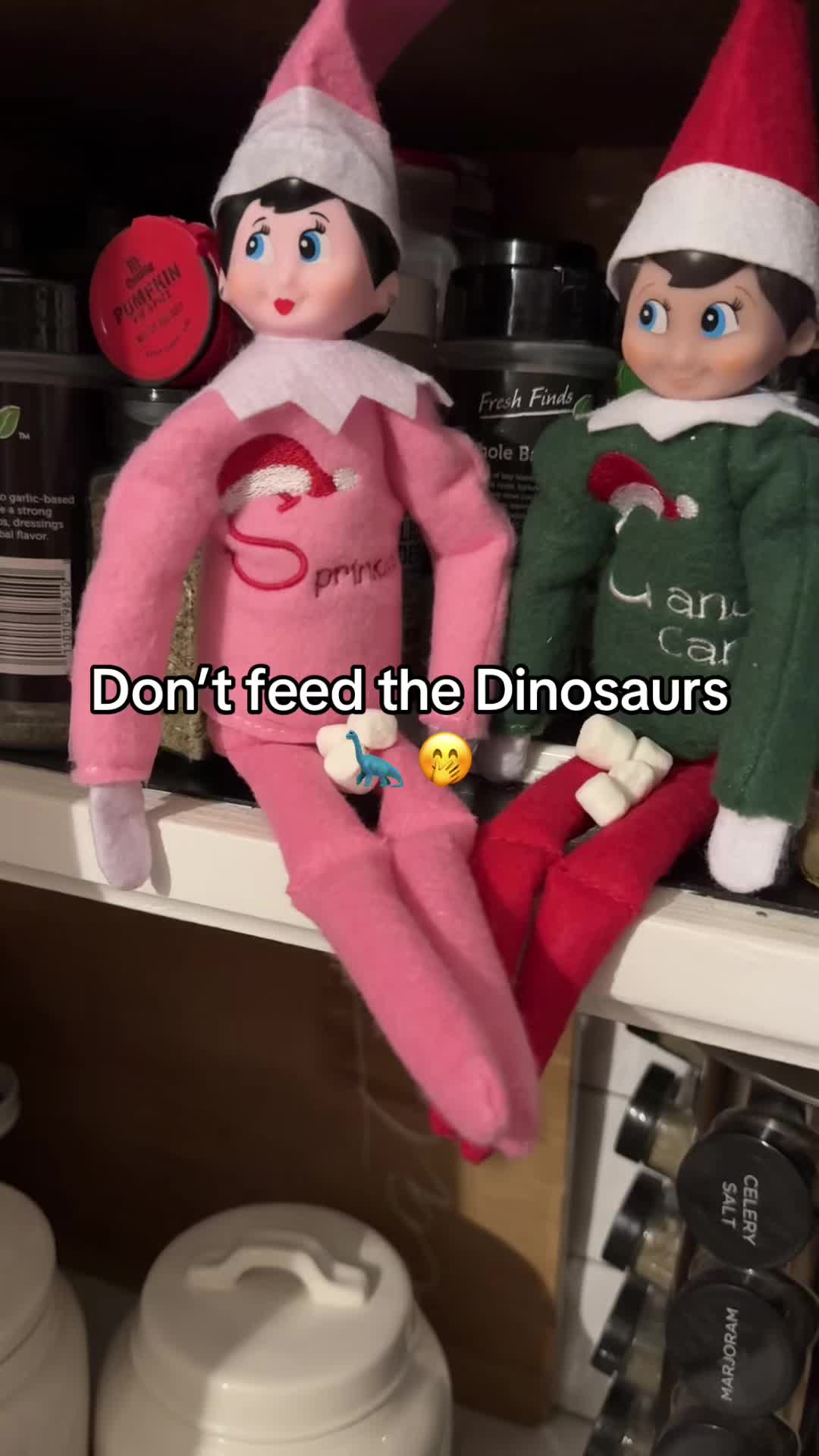 @Adrianna | TikTok Shop | SAHM